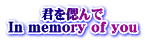 NÂ In memory of you