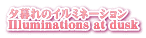 [̃C~l[V Illuminations at dusk